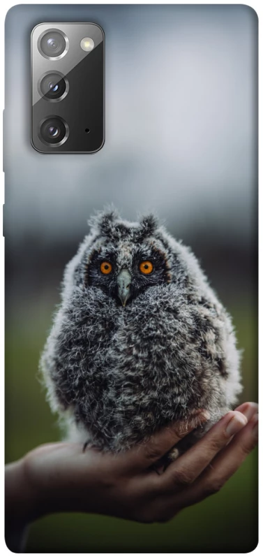 Чехол на Samsung Galaxy Note 20 Совёнок фото 1 из 1