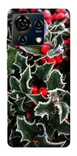 Чехол на ZTE Blade V50 Vita Новогодний v32 фото 1 из 1