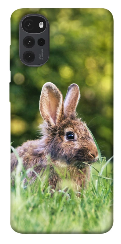 Чехол на Motorola Moto G22 Кролики фото 1 из 1