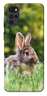 Чехол на Motorola Moto G22 Кролики фото 1 из 1