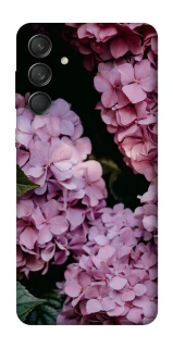 Чохол на Samsung Galaxy M55 Рожеві гартензії фото 1 з 1