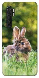 Чохол на Xiaomi Mi Note 10 Lite Кролики фото 1 з 1