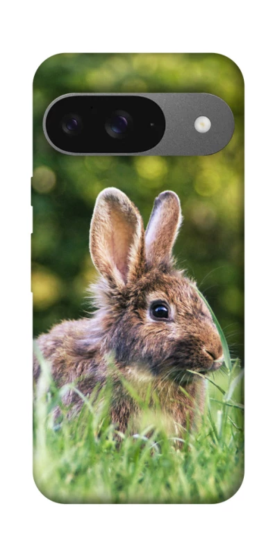 Чехол на Google Pixel 10 Кролики фото 1 из 1