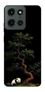 Чохол на Motorola Moto G Power (2025) Panda and tree фото 1 з 1