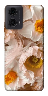 Чехол на Motorola Moto G24 Botanical Bliss фото 1 из 1