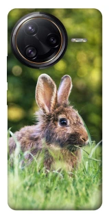 Чехол на Xiaomi Poco F7 Ultra Кролики фото 1 из 1