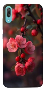 Чехол на Huawei Y6 Pro (2019) Flowers v28 фото 1 из 1