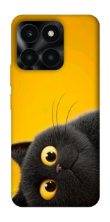 Чохол на Huawei Honor X6a This is Cat фото 1 з 1