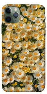 Чехол на Apple iPhone 11 Pro Max (6.5") Camomile фото 1 из 1
