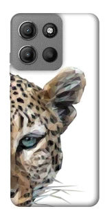 Чохол на Motorola Moto G15 4G Leopard Art v2 фото 1 з 1