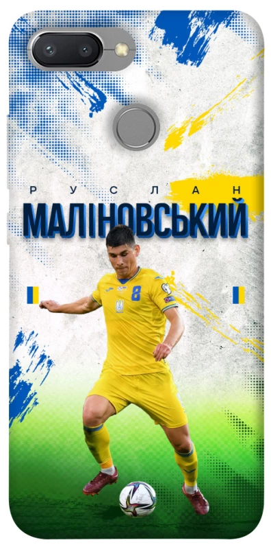 Чехол на Xiaomi Redmi 6 Малиновский №8 фото 1 из 1