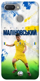 Чехол на Xiaomi Redmi 6 Малиновский №8 фото 1 из 1