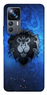 Чохол на Xiaomi 12T / 12T Pro Warcraft v1 фото 1 з 1