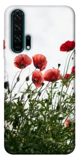 Чехол на Huawei Honor 20 Pro Поле маков фото 1 из 1