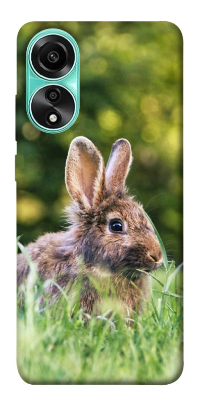 Чохол на Oppo A78 4G Кролики фото 1 з 1