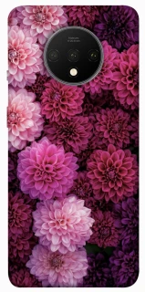 Чехол на OnePlus 7T Garden1 фото 1 из 1