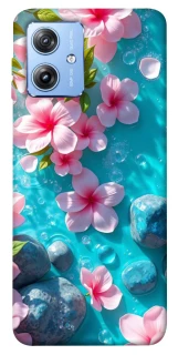 Чехол на Motorola Moto G84 Flowers v19 фото 1 из 1