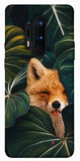Чехол на OnePlus 8 Pro Fox фото 1 из 1