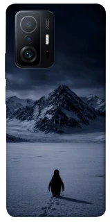 Чехол на Xiaomi 11T / 11T Pro But why? фото 1 из 1