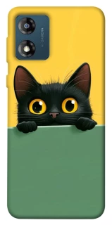 Чохол на Motorola Moto E13 Black cat v2 фото 1 з 1