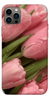 Чехол на Apple iPhone 12 Pro (6.1") Beauty фото 1 из 1