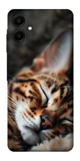 Чехол на Samsung Galaxy A06 Cat paws фото 1 из 1