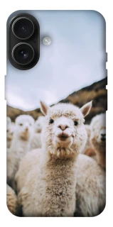 Чохол на Apple iPhone 17 (6.3") Лама фото 1 з 1