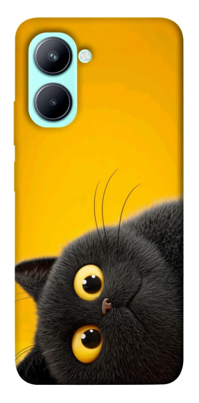 Чохол на Realme C33 This is Cat фото 1 з 1