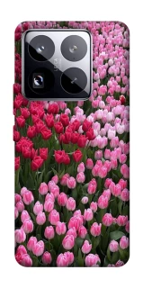 Чохол на Xiaomi 15 Pro Flowers v9 фото 1 з 1