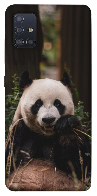 Чехол на Samsung Galaxy M51 Панда фото 1 из 1