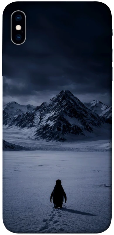 Чохол на Apple iPhone XS Max (6.5") But why? фото 1 з 1