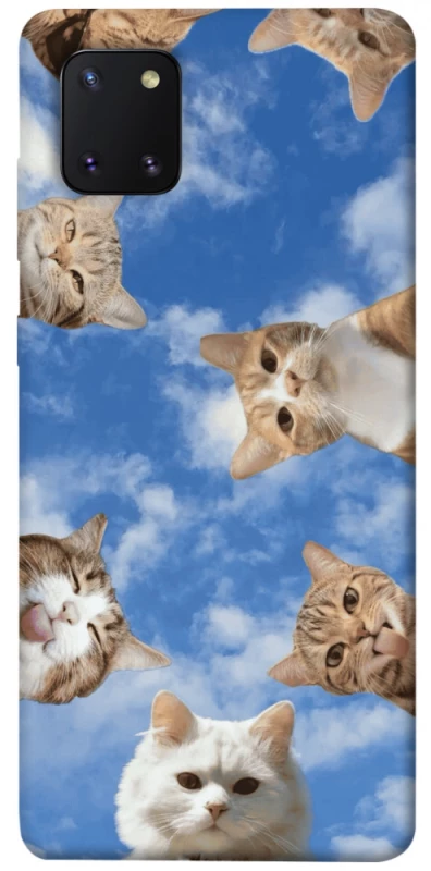 Чехол на Samsung Galaxy Note 10 Lite (A81) Сats фото 1 из 1