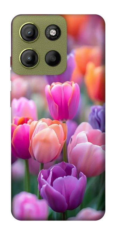 Чохол на Motorola Moto G15 4G Тюльпанове поле фото 1 з 1