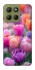 Чохол на Motorola Moto G15 4G Тюльпанове поле фото 1 з 1