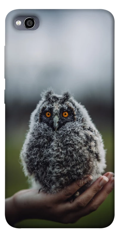 Чехол на Xiaomi Redmi 4a Совёнок фото 1 из 1