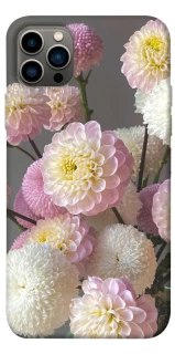 Чохол на Apple iPhone 12 Pro (6.1") Flowers v2 фото 1 з 1