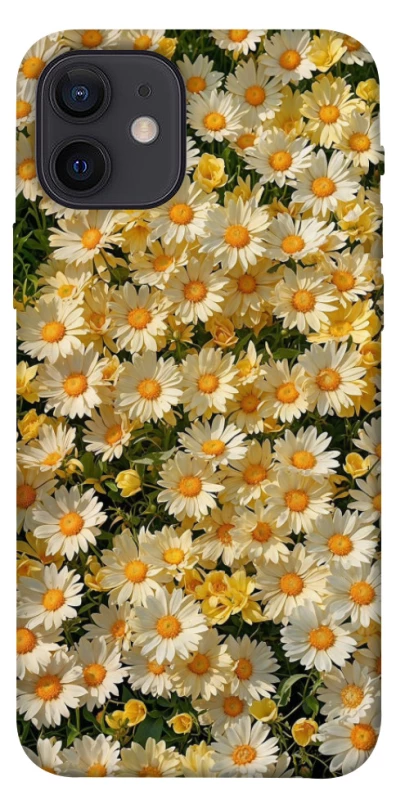 Чохол на Apple iPhone 12 (6.1") Camomile фото 1 з 1