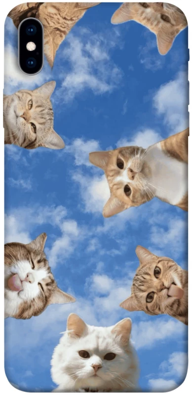 Чохол на Apple iPhone XS Max (6.5") Сats фото 1 з 1