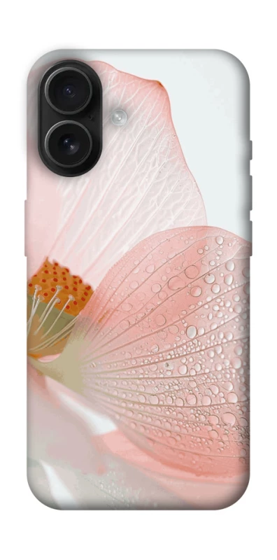 Чехол на Apple iPhone 16 Flowers zon фото 1 из 1