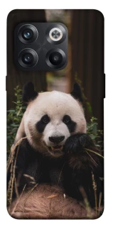 Чехол на OnePlus 10T Панда фото 1 из 1