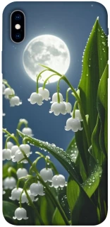 Чохол на Apple iPhone XS Max (6.5") Flowers v25 фото 1 з 1