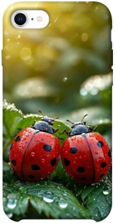 Чехол на Apple iPhone SE (2020) Flowers v23 фото 1 из 1