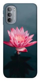 Чехол на Motorola Moto G31 Лотос фото 1 из 1