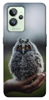 Чохол на Realme GT2 Совеня фото 1 з 1