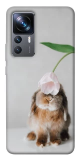 Чохол на Xiaomi 12T / 12T Pro Bunny фото 1 з 1