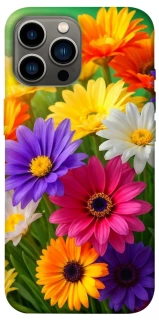 Чохол на Apple iPhone 12 Pro Max (6.7") Flowers v32 фото 1 з 1