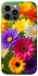 Чохол на Apple iPhone 13 Pro Max (6.7") Flowers v32 фото 1 з 1