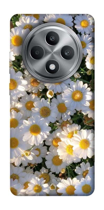 Чохол на Oppo Reno 12 F 4G Поле ромашок фото 1 з 1
