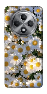 Чохол на Oppo Reno 12 F 4G Поле ромашок фото 1 з 1
