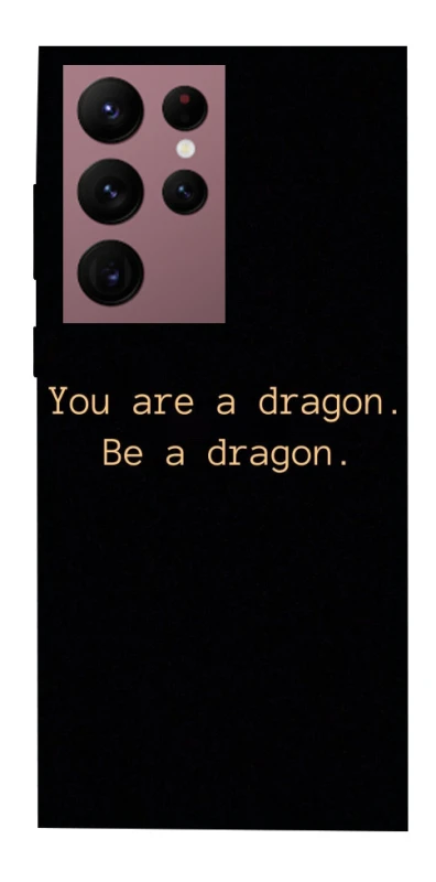 Чехол на Samsung Galaxy S22 Ultra House of the Dragon ver.9 фото 1 из 1